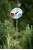 gartenthermometer-disc-speed-15-cm-od_d15tsp_big.jpg